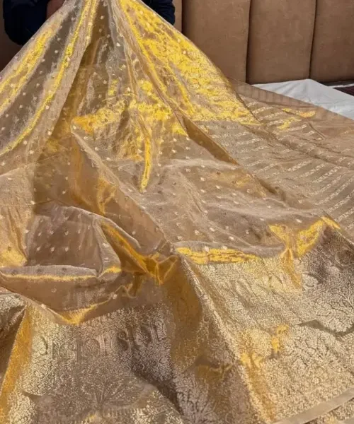 Golden zari semi banarasi saree with golden buttas